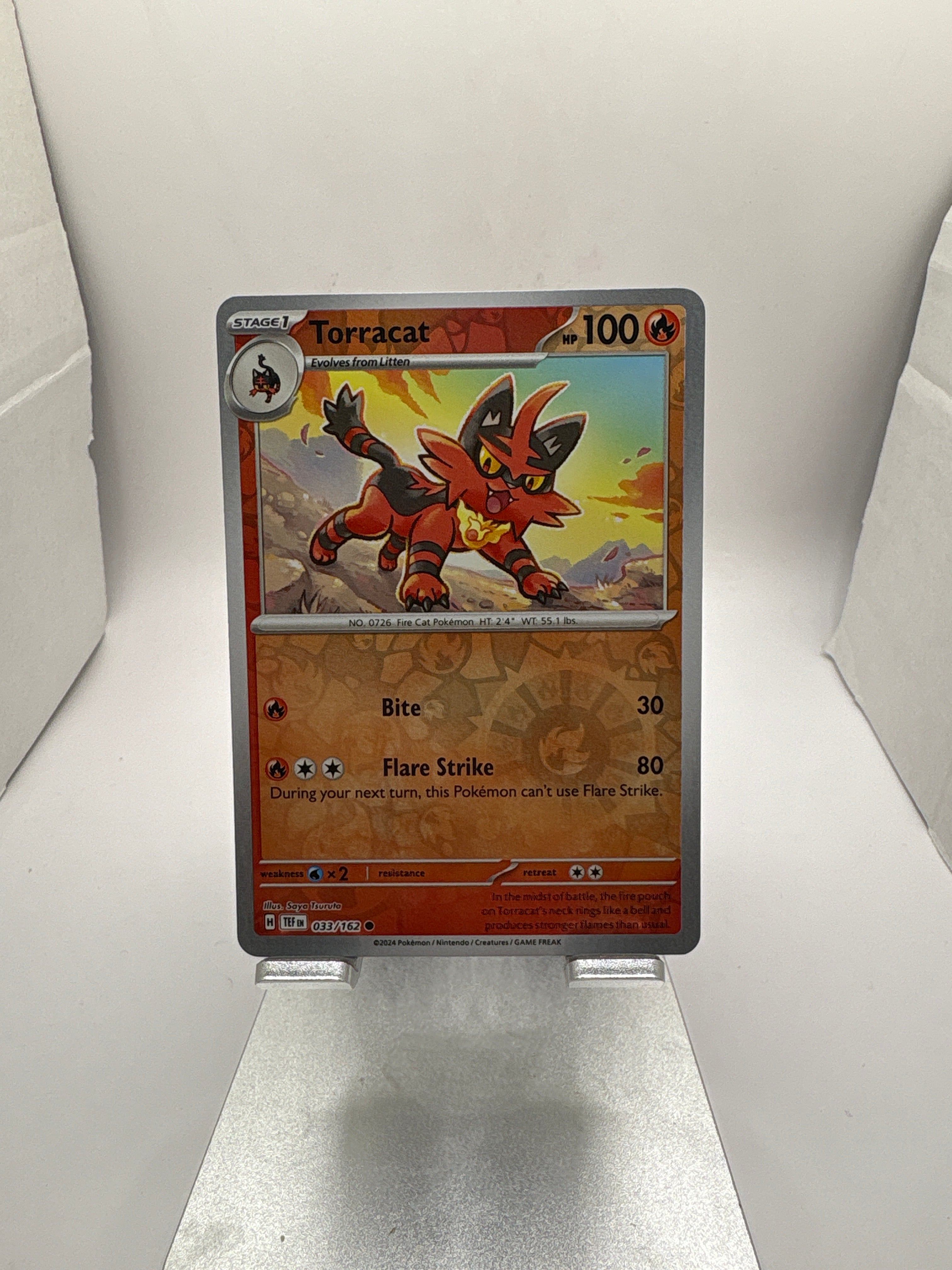 Pokemon Torracat