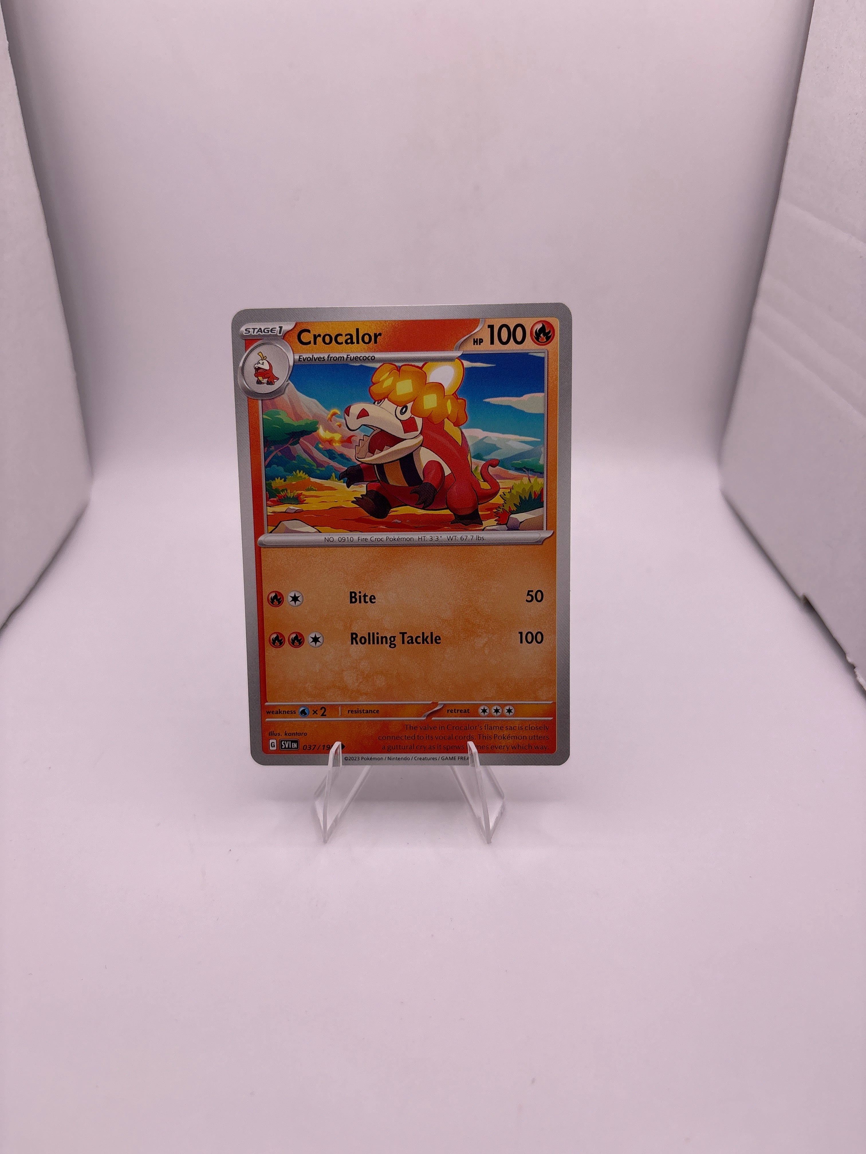 Pokemon Crocalor Main image