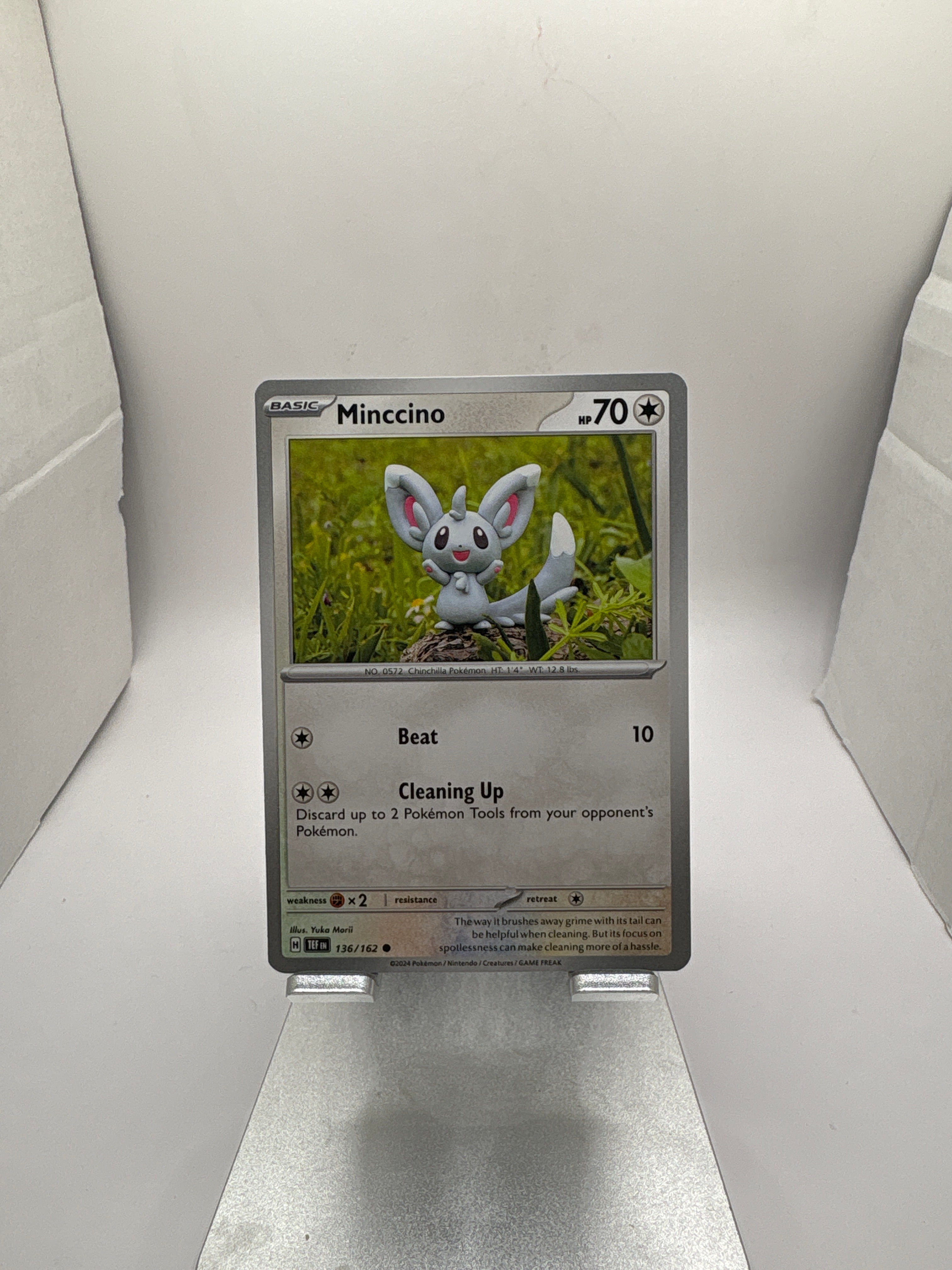 Pokemon Minccino Main image