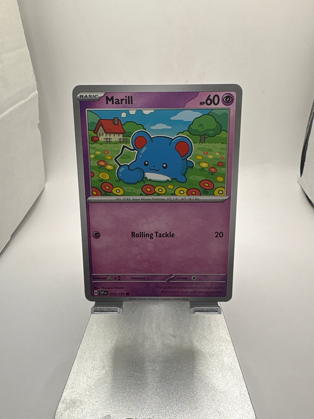 Pokemon Marill