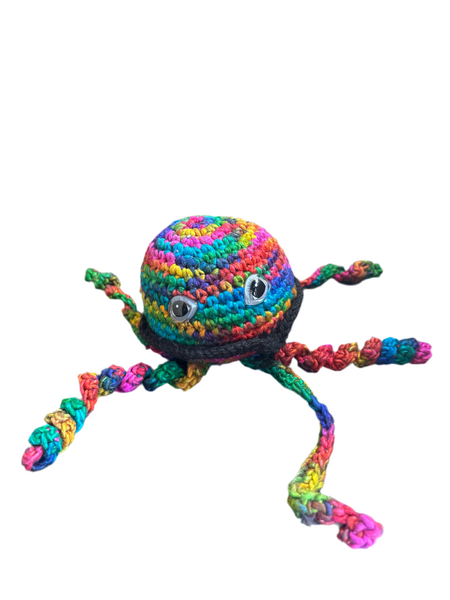 Jellyfish Hover Image