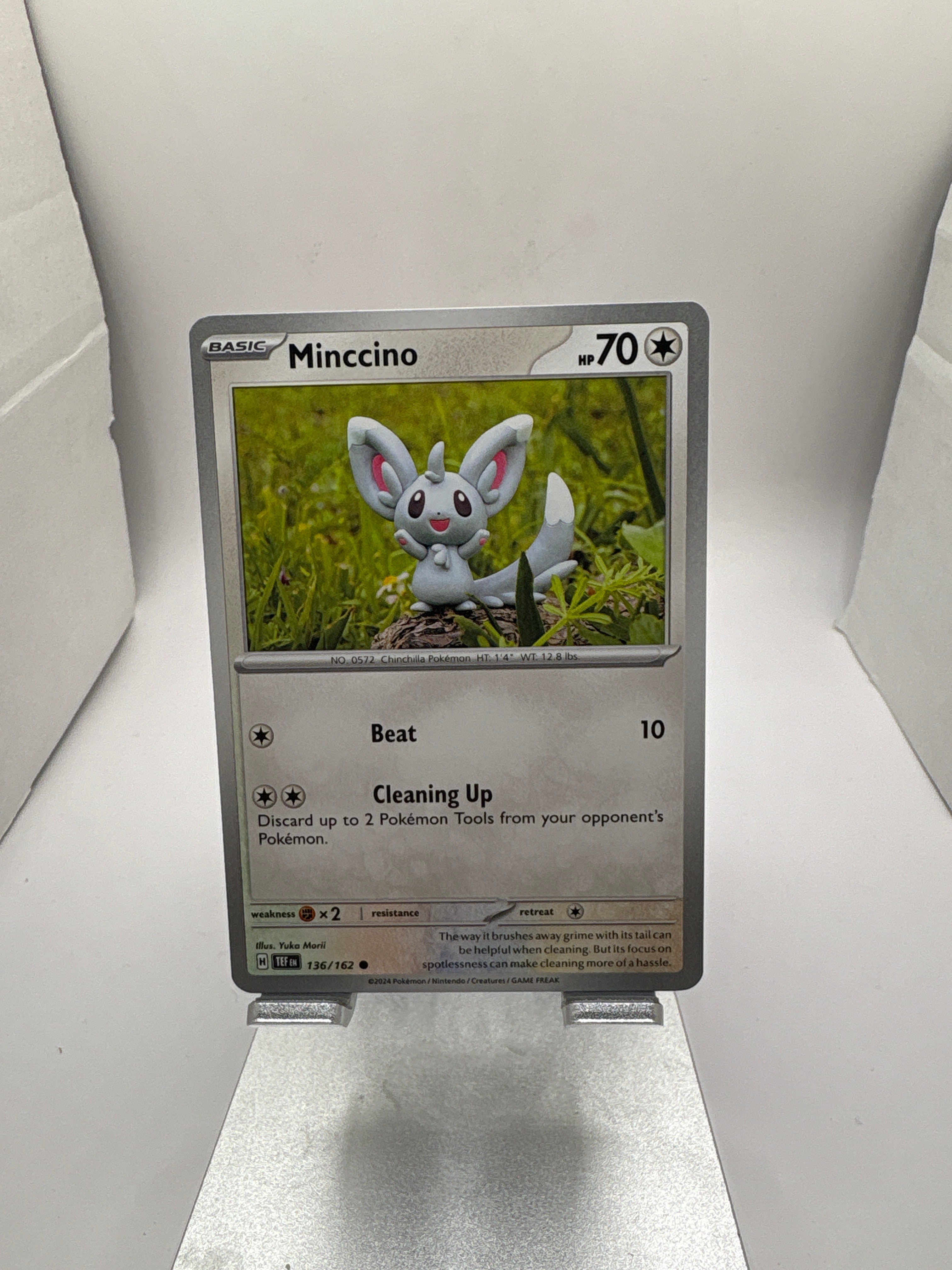 Pokemon Minccino Main image