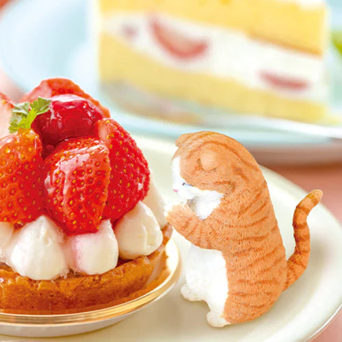 WISHING CATS BLIND BOX (1 Blind Box) - Collectors World Toys