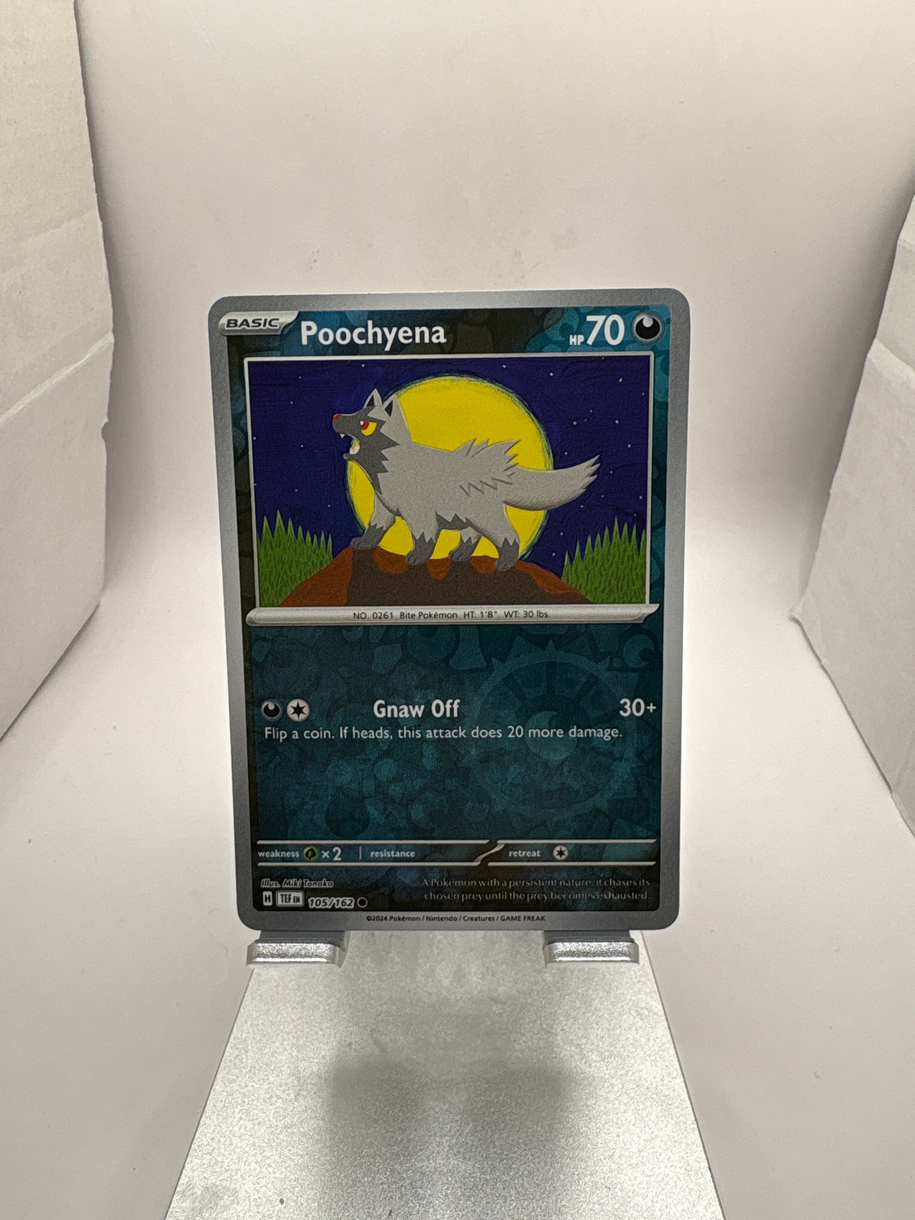 Pokemon Poochyena Main image