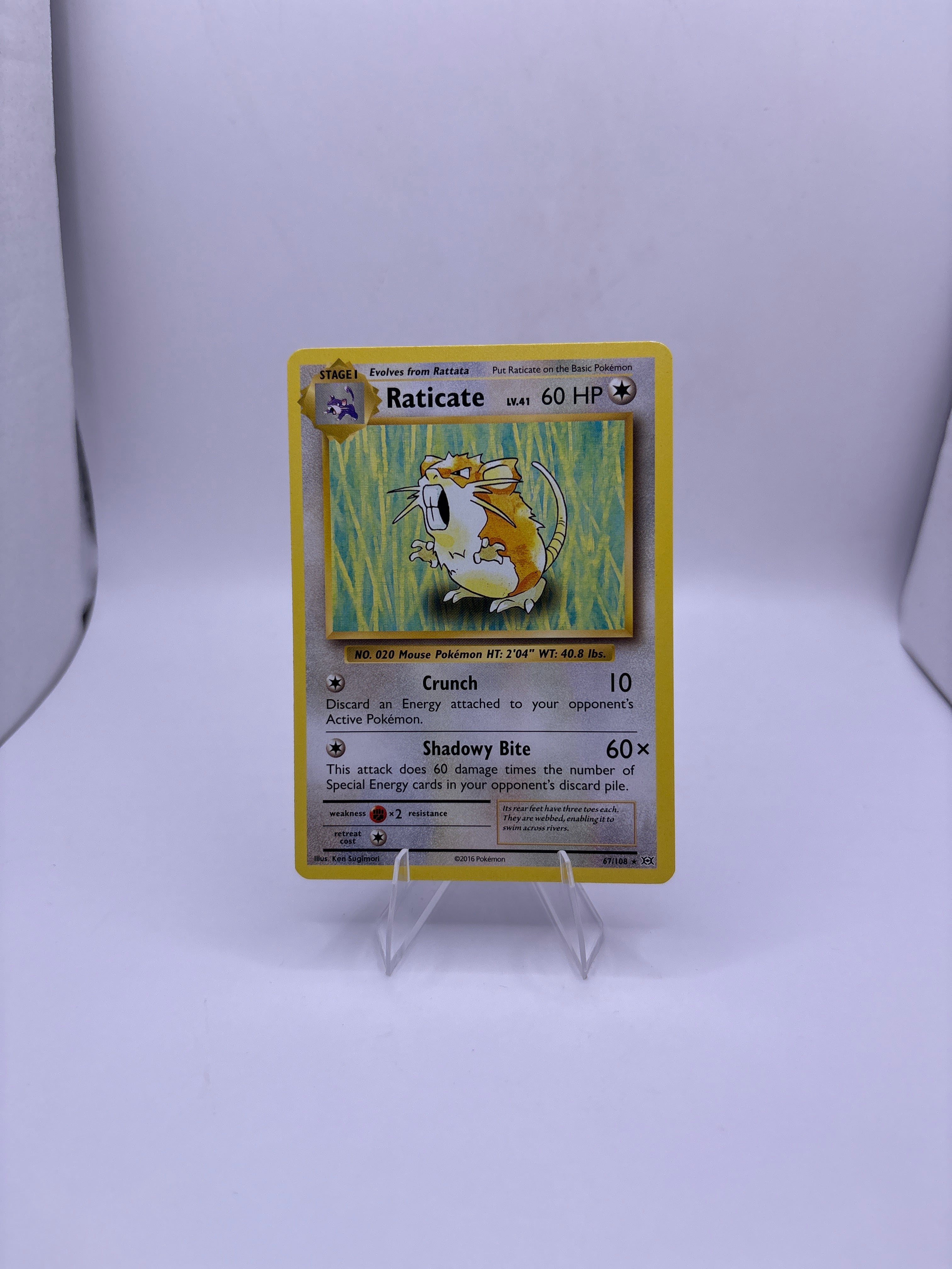 Pokemon Raticate Main image