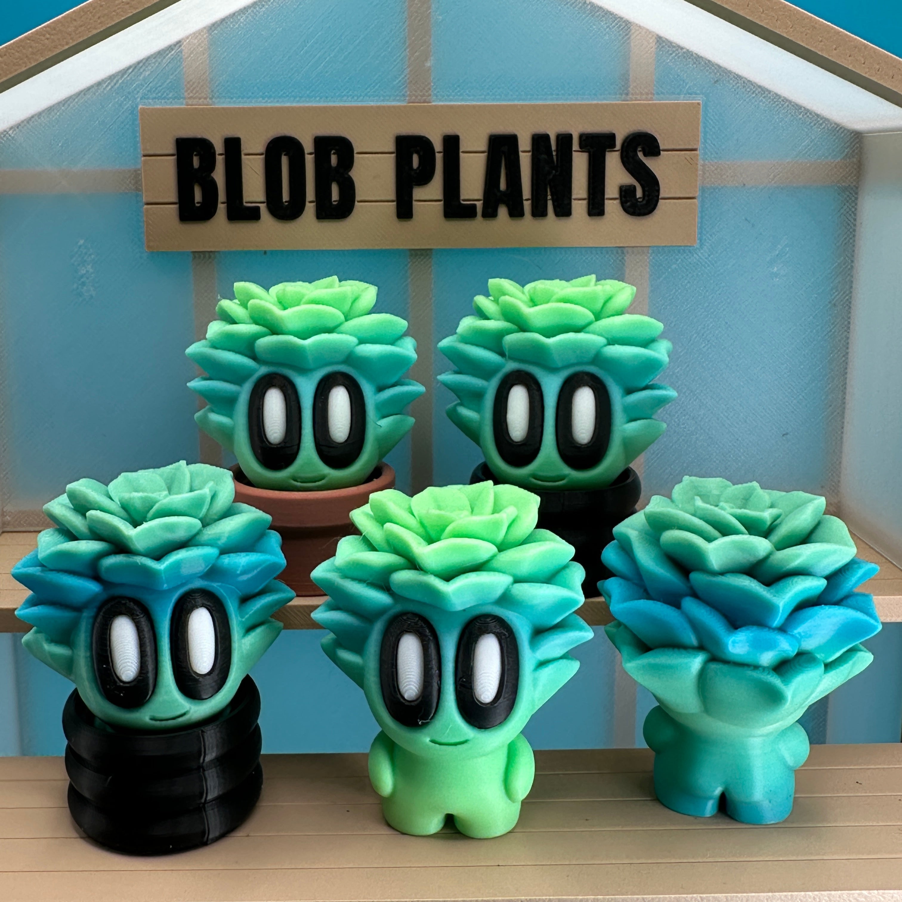 Succulent Blob Plant - Collectors World Toys
