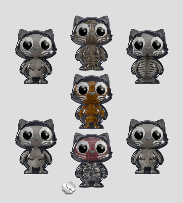 Catscans (Bare Bones) Blind Box (1 Blind Box)