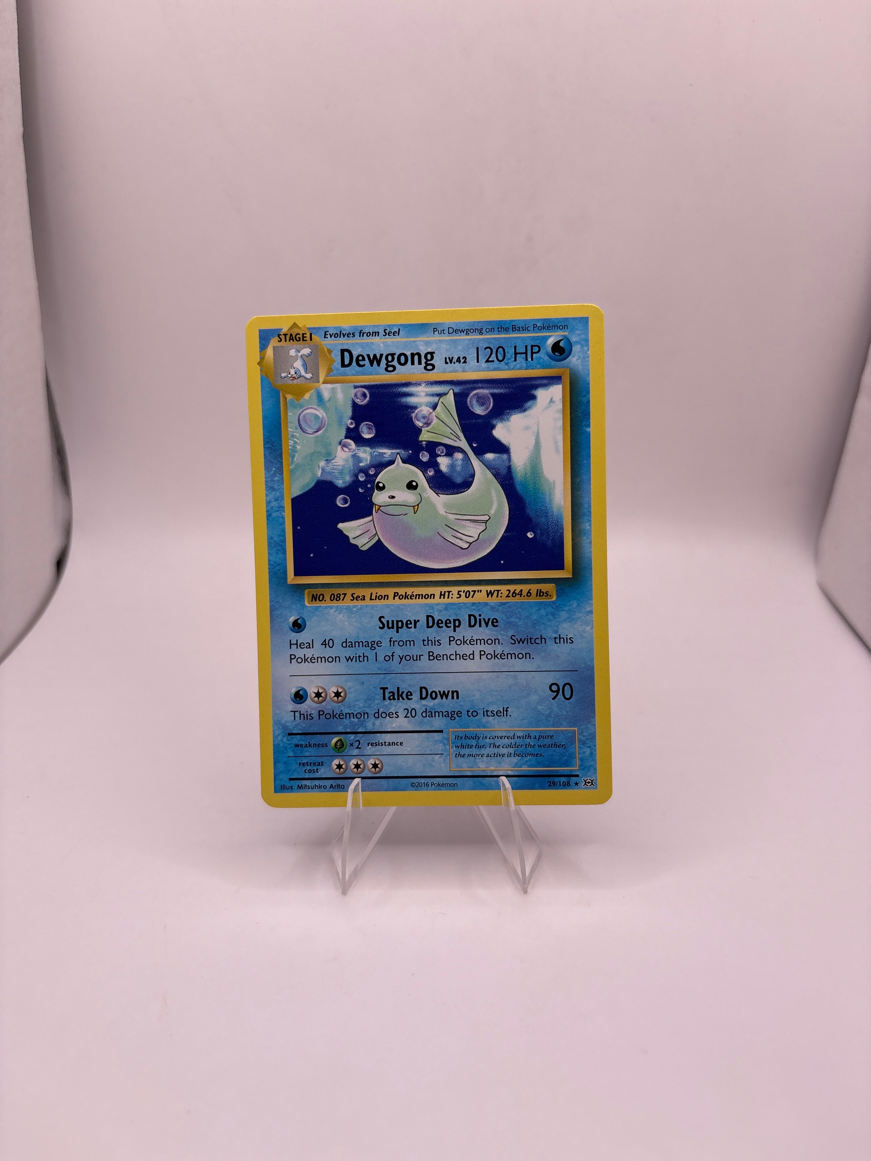 Pokemon Dewgong