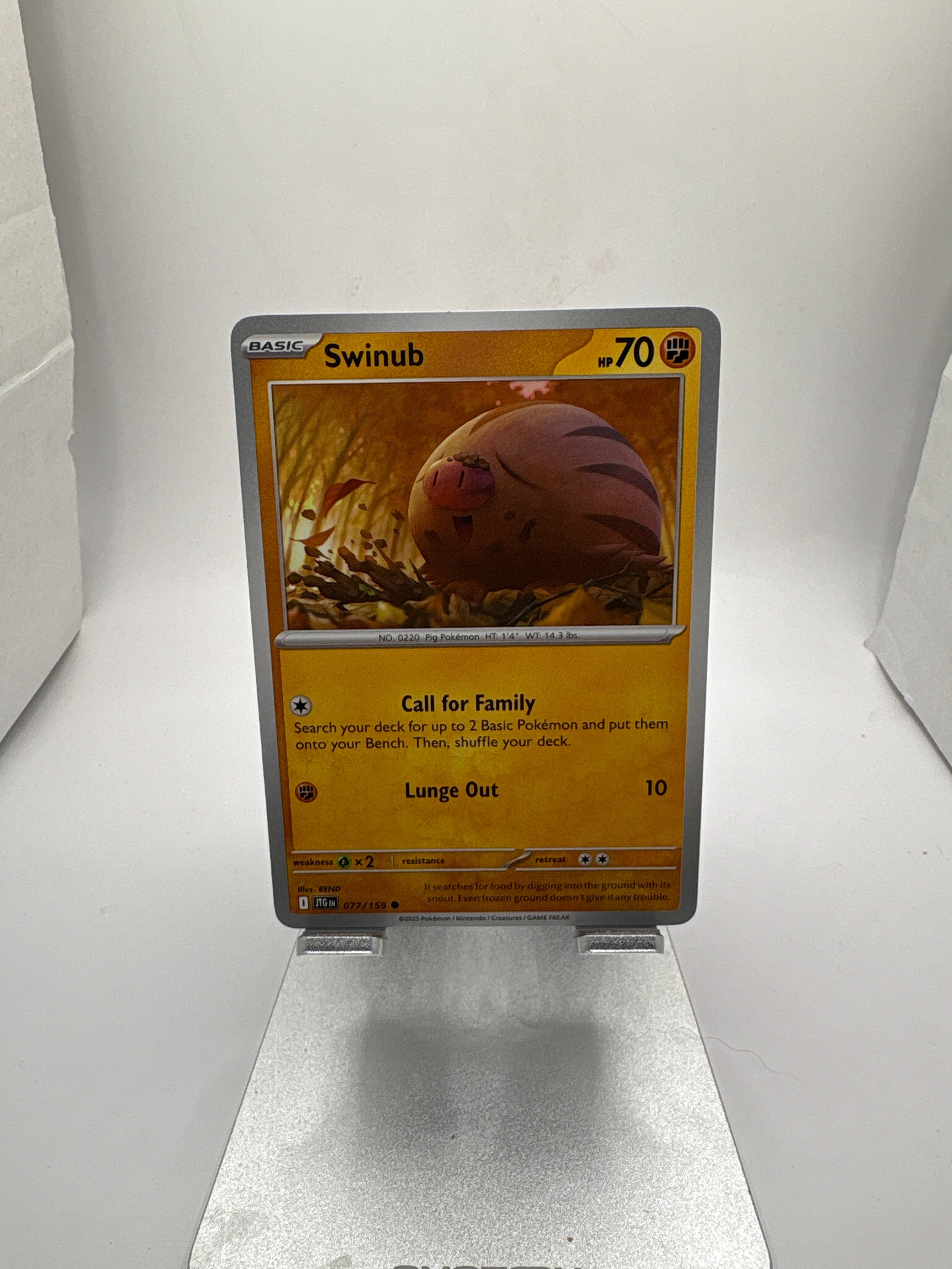 Pokemon Swinub Main image