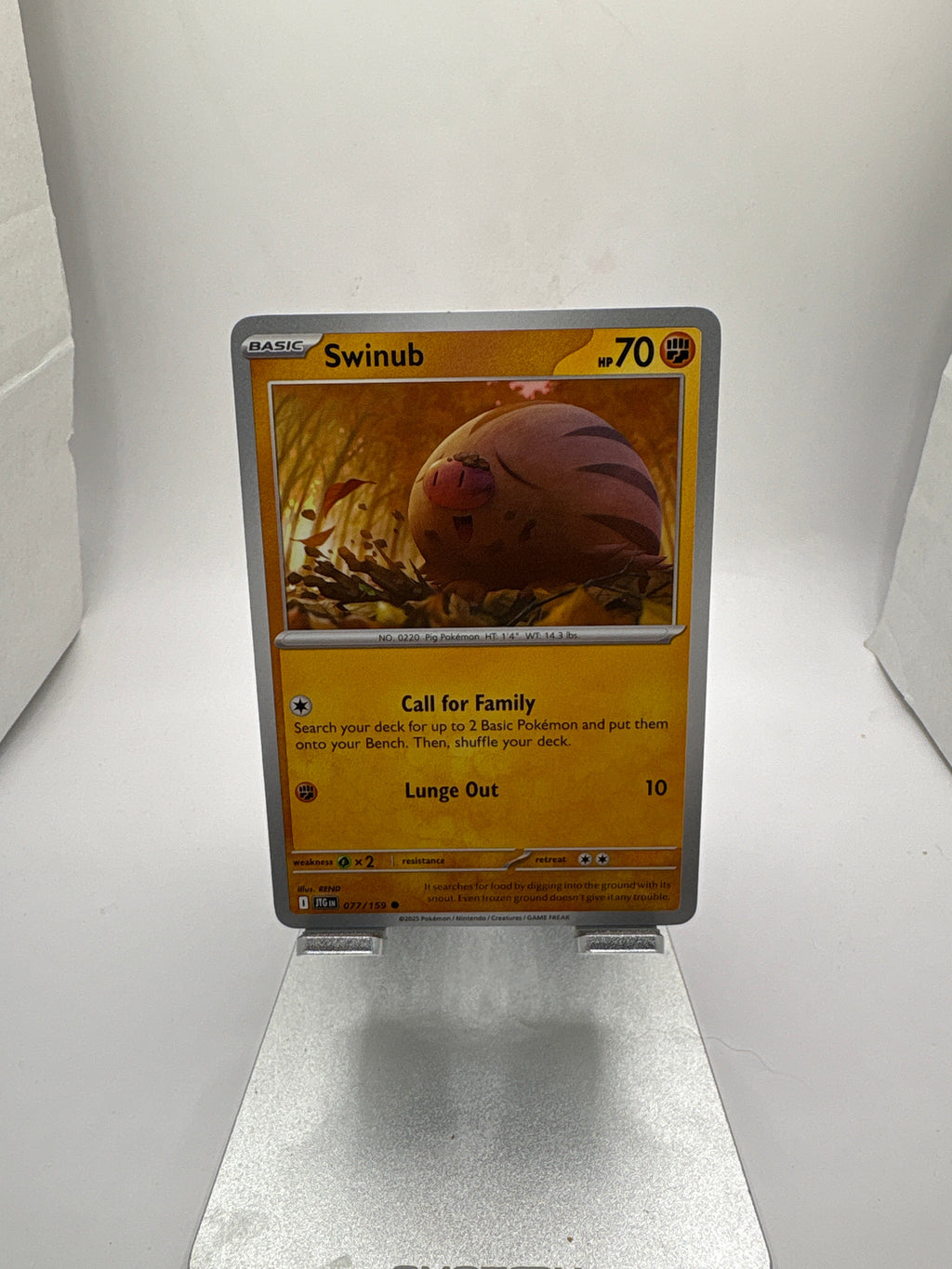 Pokemon Swinub