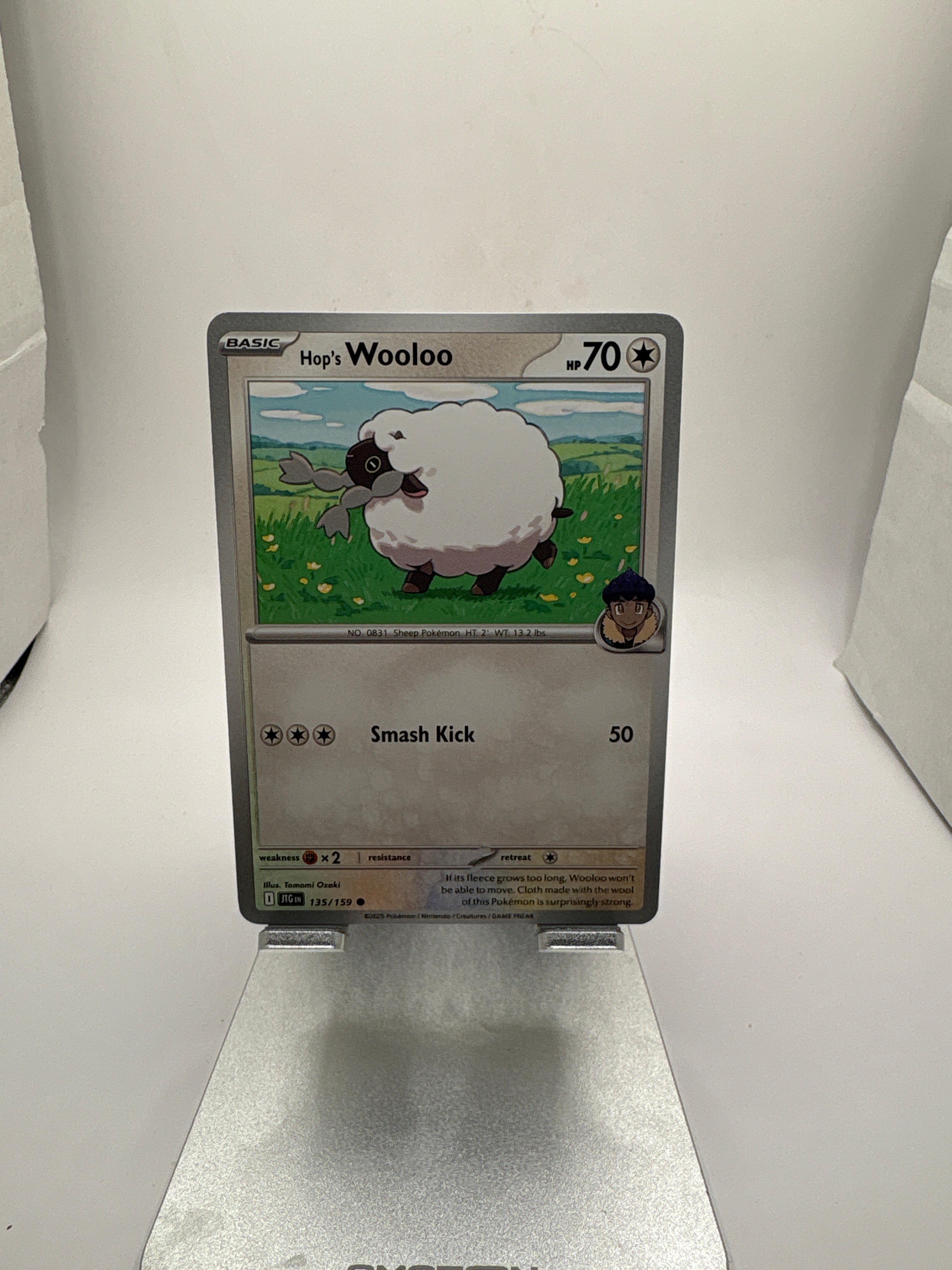 Pokemon Hop’s Wooloo Main image