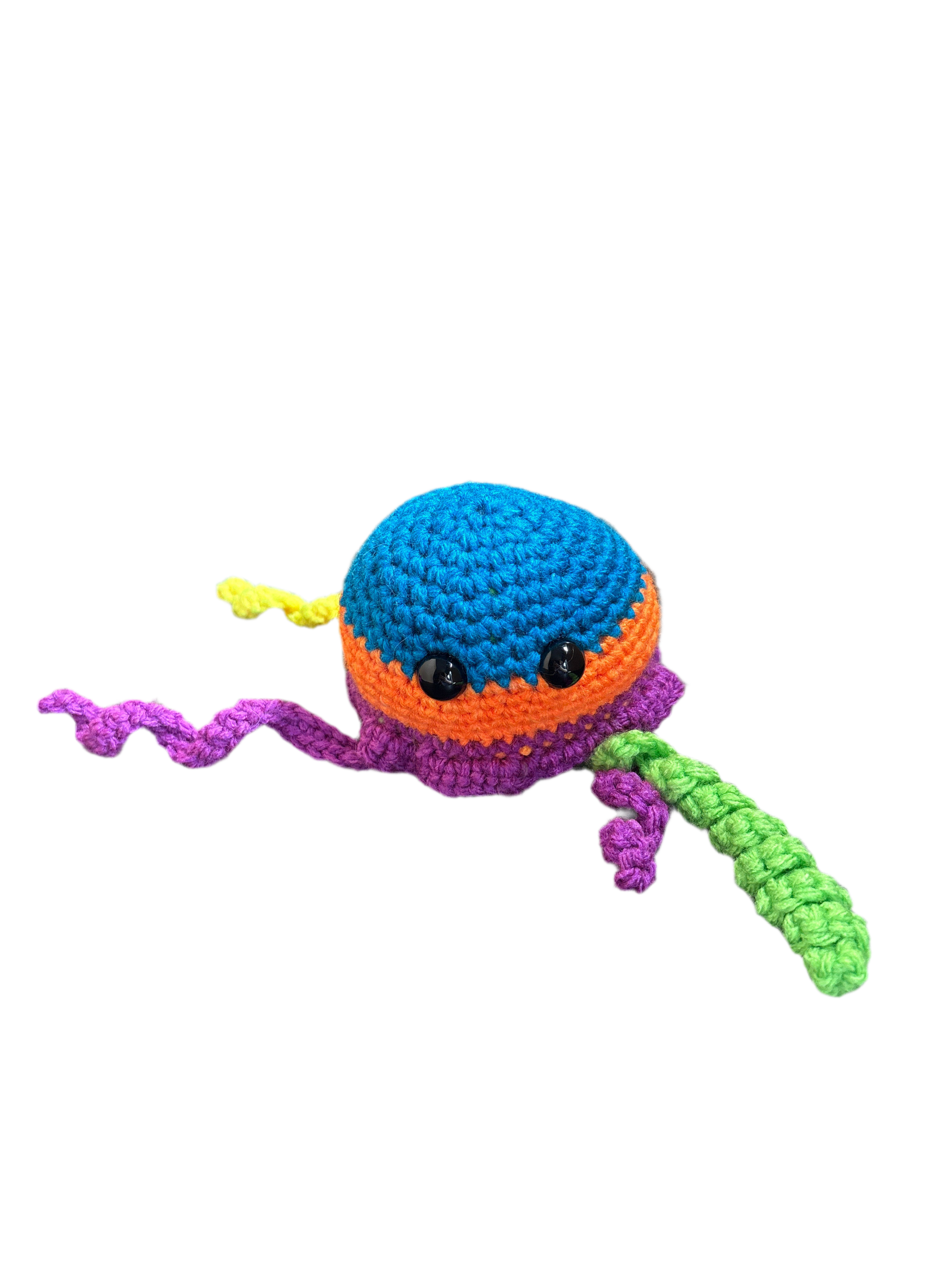 Jellyfish Main image