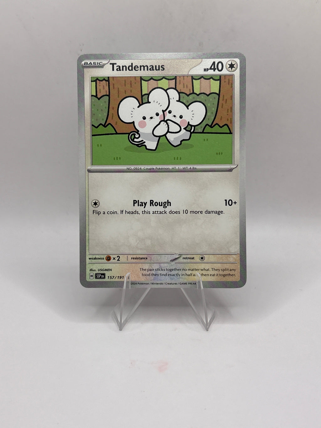 Pokemon Tandemaus