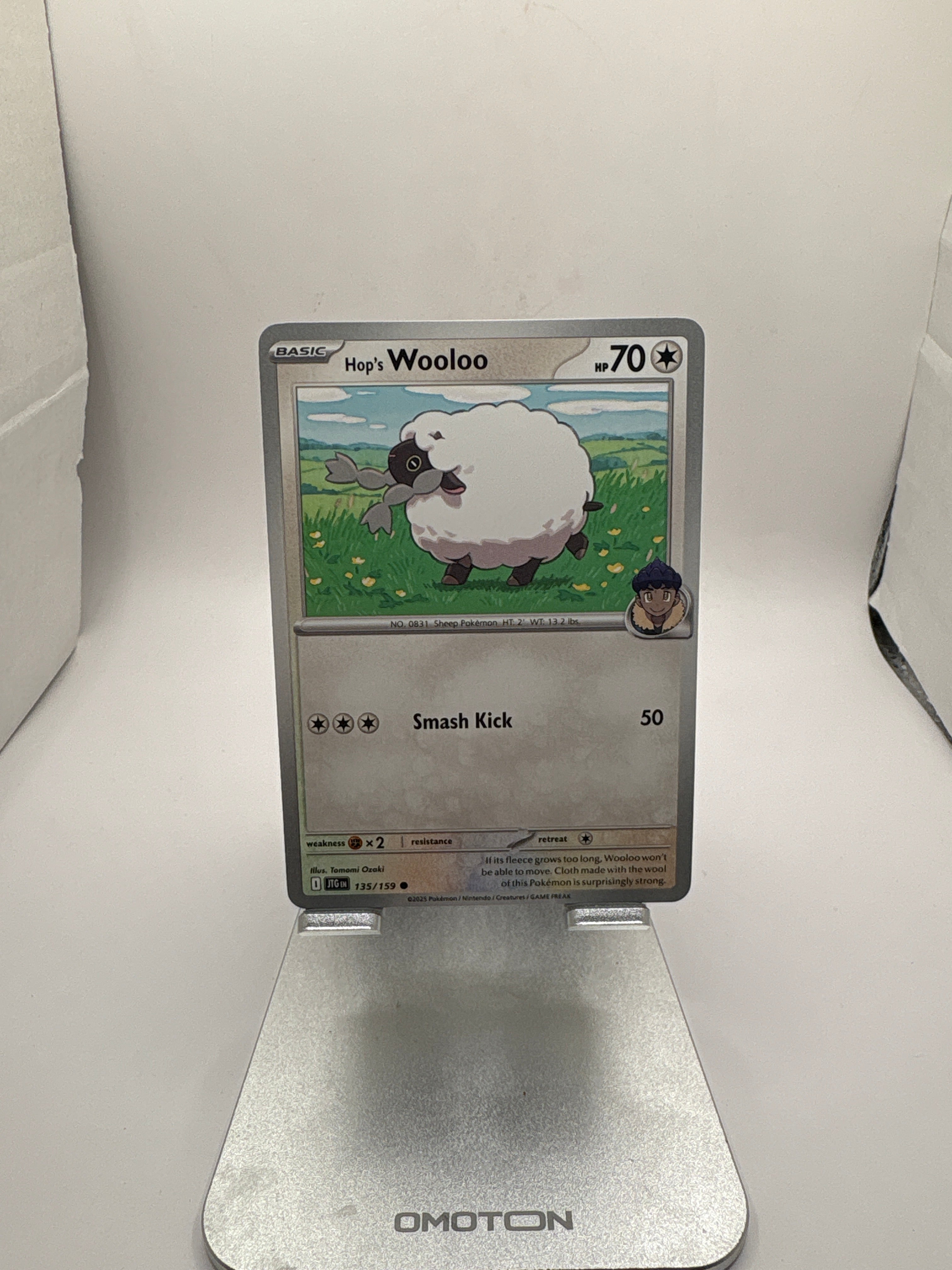 Pokemon Hop’s Wooloo Main image