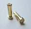 TQ Wire - 5mm Male Bullets Low Profile (pr.) Gold 19mm