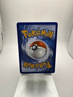 Pokemon N’s Zorua