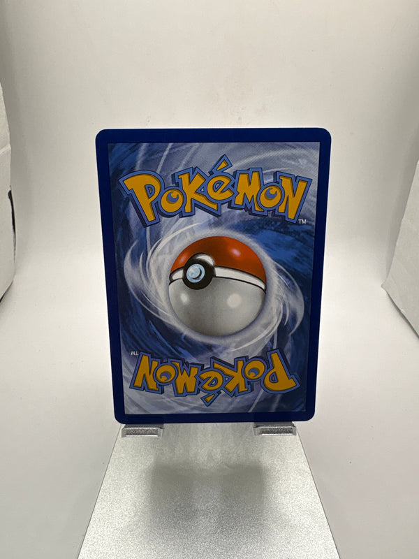 Pokemon N’s Zorua