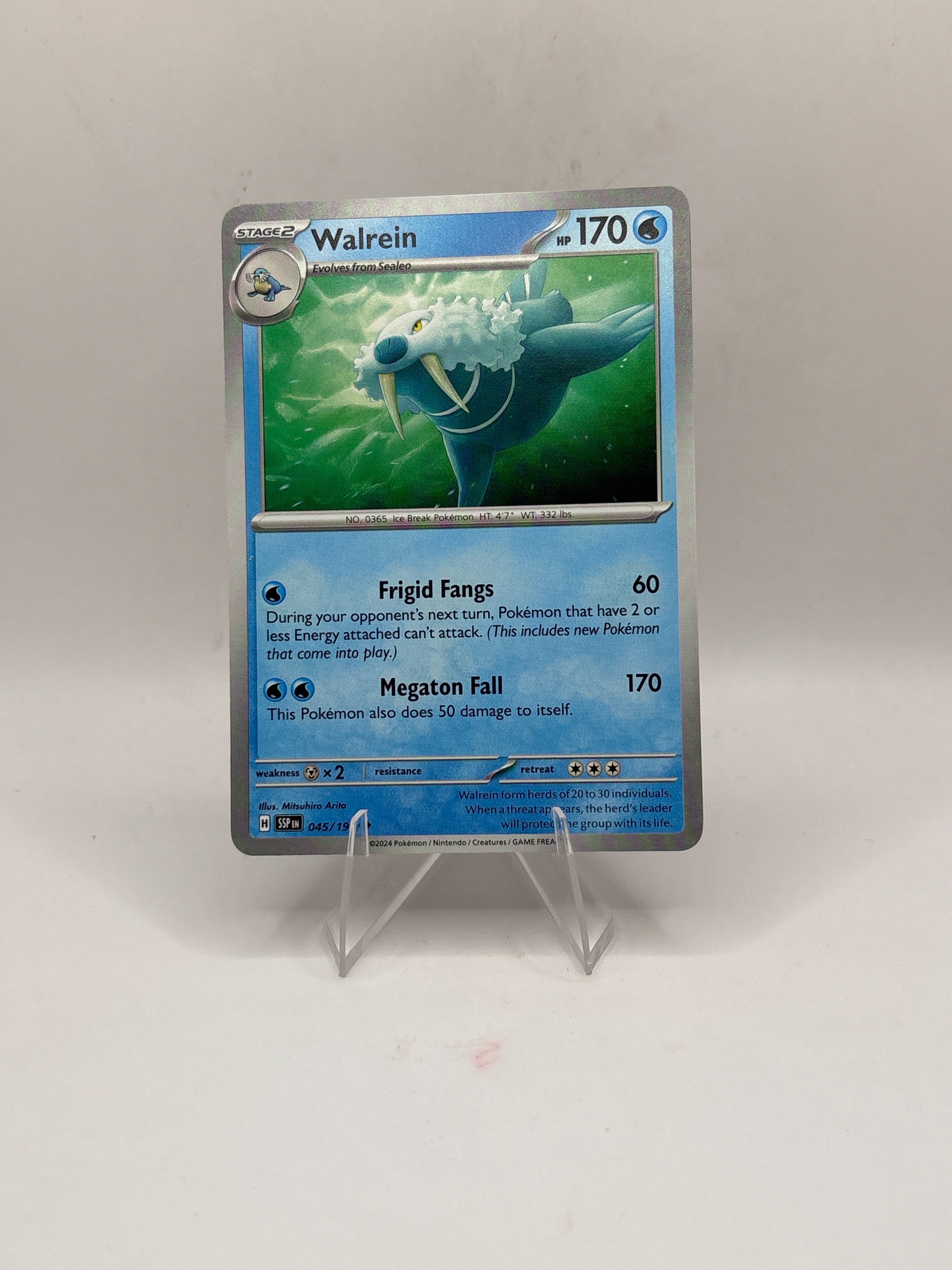 Pokemon Walrein Main image