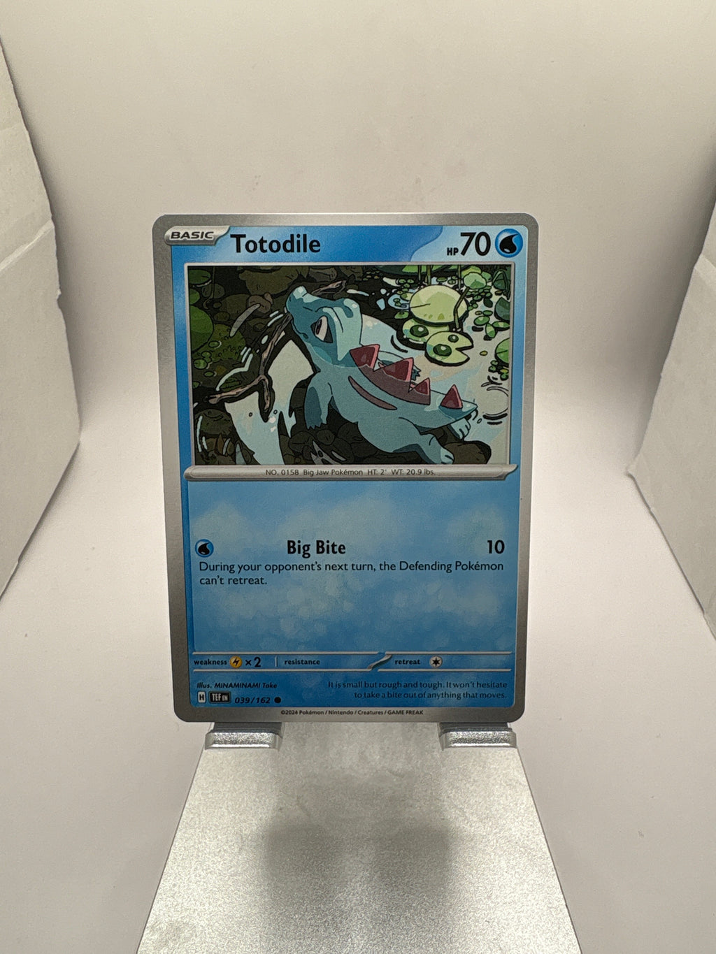 Pokemon Totodile