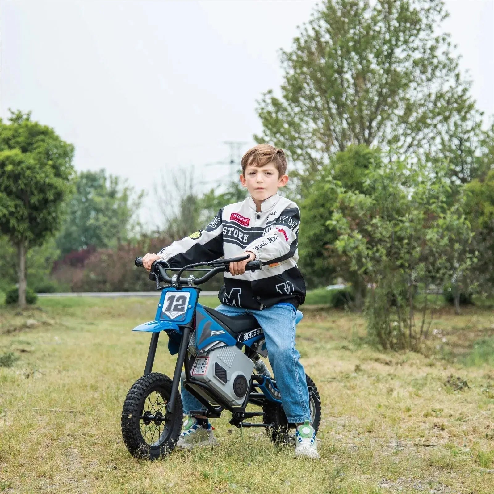 36V Freddo Electric Dirt Bike with Brushless Motor