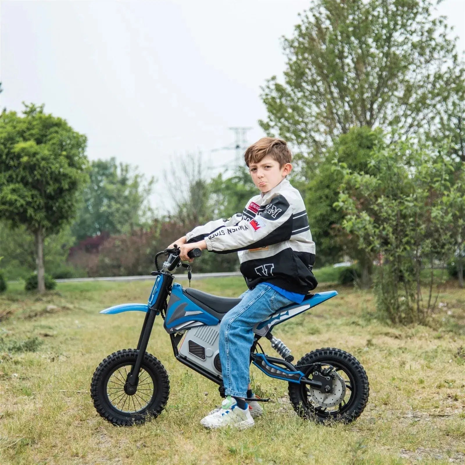 36V Freddo Electric Dirt Bike with Brushless Motor