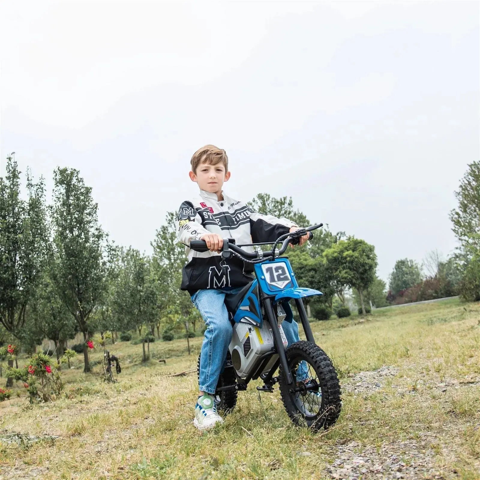 36V Freddo Electric Dirt Bike with Brushless Motor