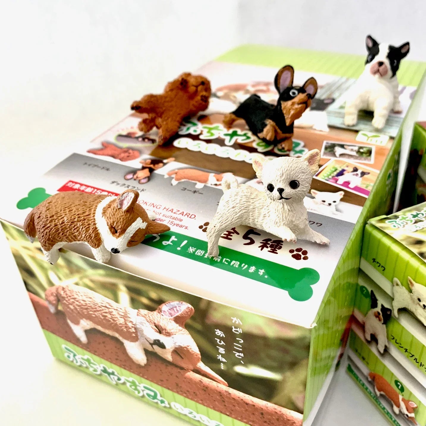 PLAYFUL HANGING DOGS BLIND BOX (1 Blind Box) - Collectors World Toys