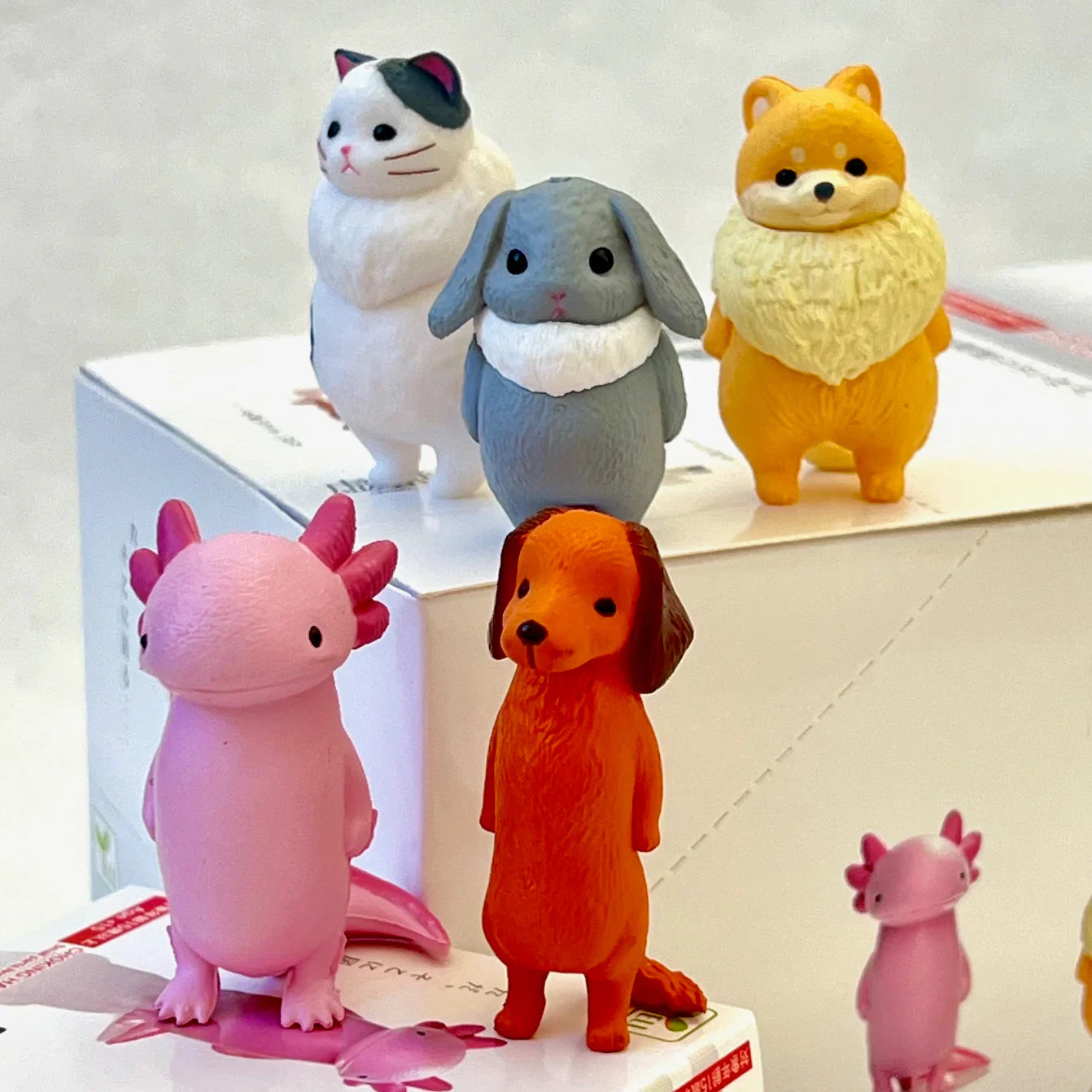 Kyomu Void Animals Blind Box (1 Blind Box) - Collectors World Toys