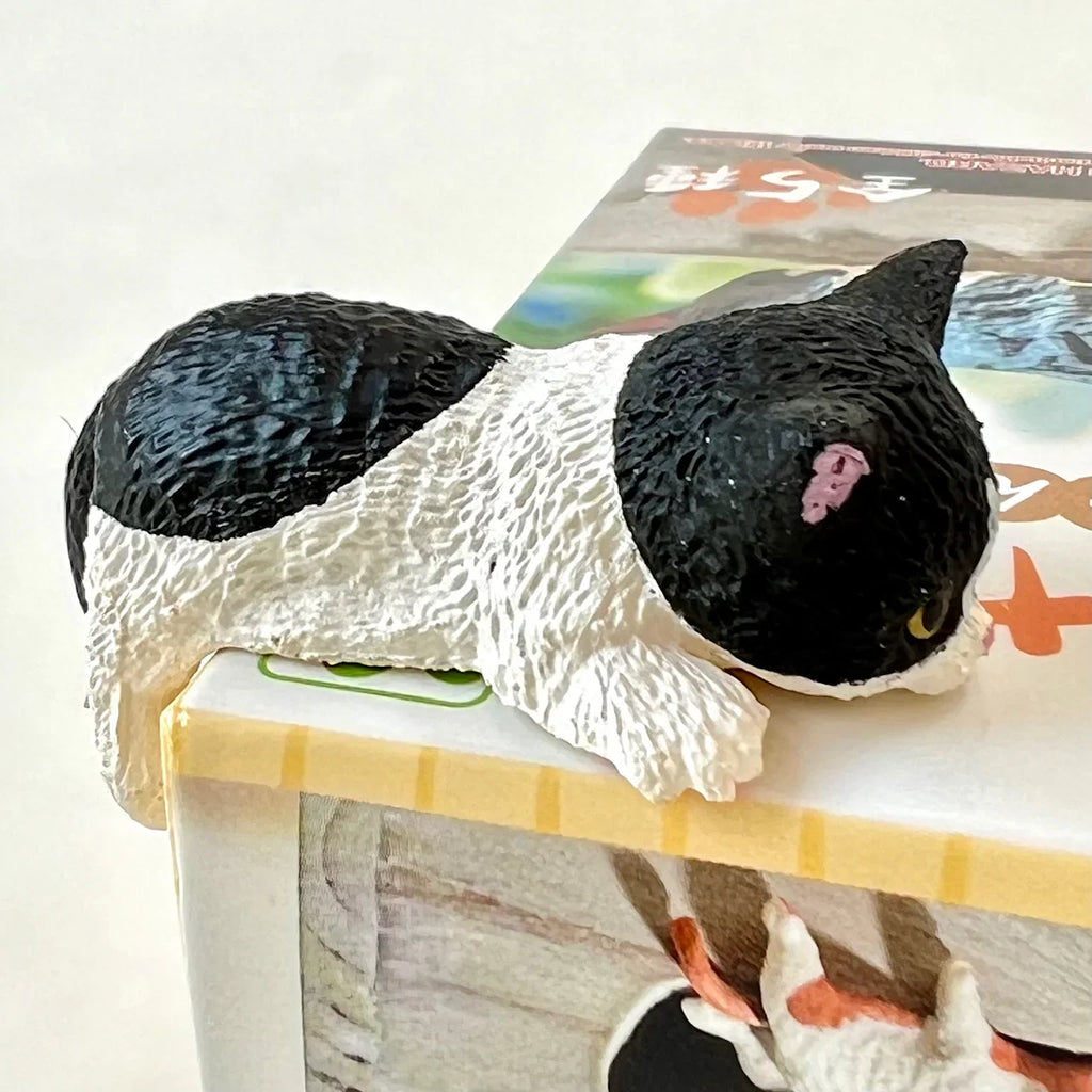 Resting Cats Blind Box (1 Blind Box) - Collectors World Toys