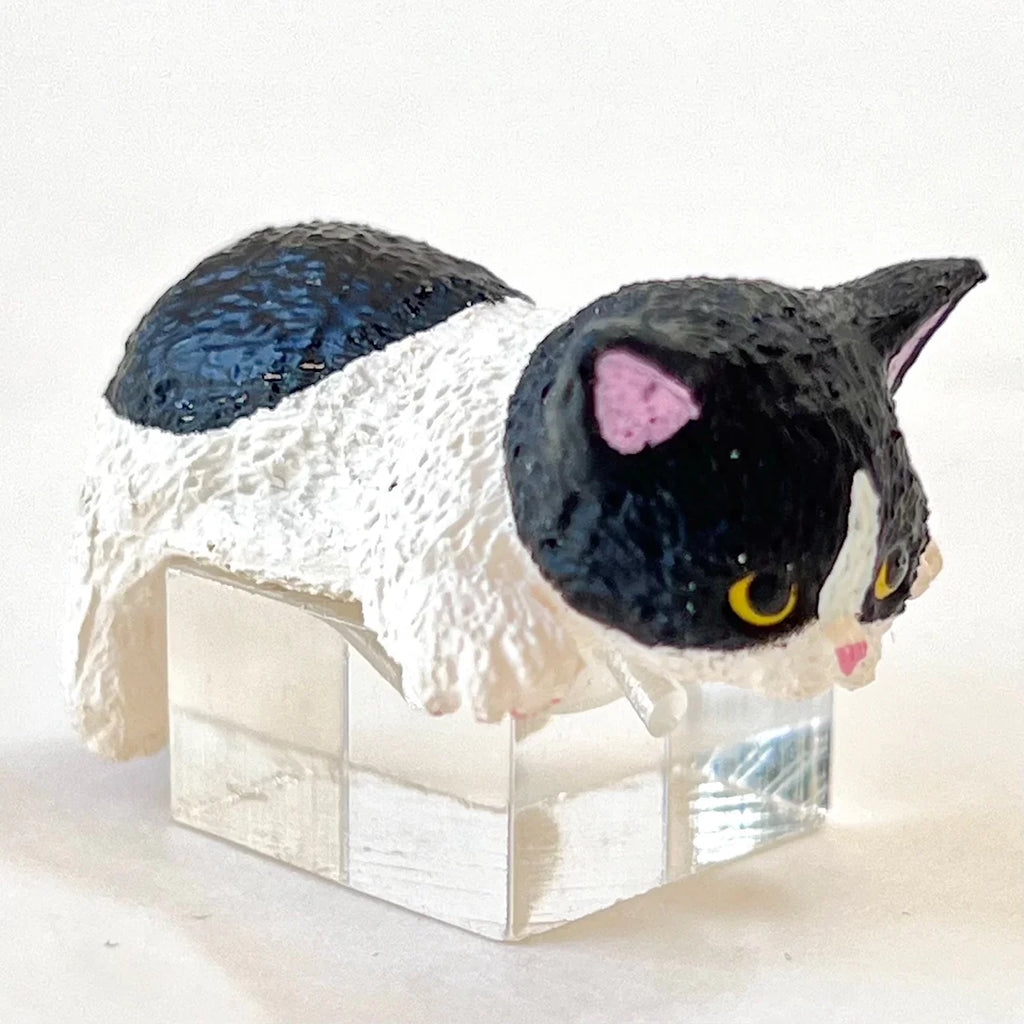 Resting Cats Blind Box (1 Blind Box) - Collectors World Toys