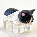 Resting Cats Blind Box (1 Blind Box) - Collectors World Toys