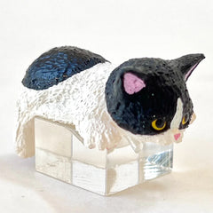 Resting Cats Blind Box (1 Blind Box)