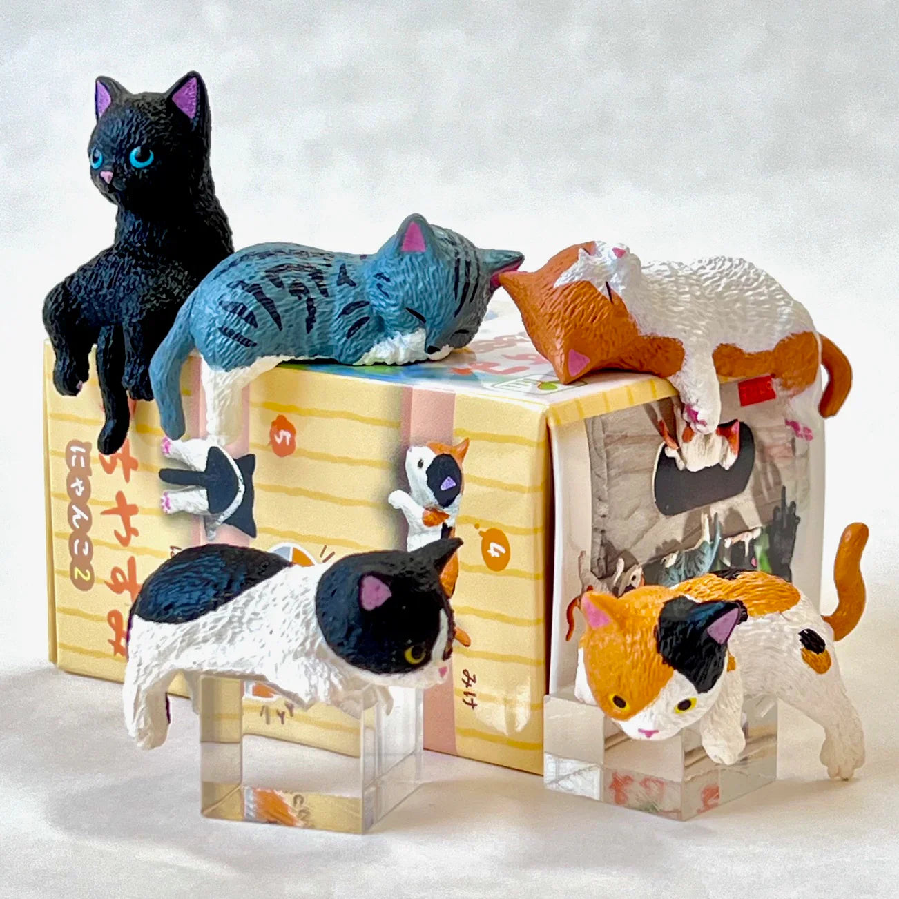 Resting Cats Blind Box (1 Blind Box) - Collectors World Toys