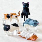 Resting Cats Blind Box (1 Blind Box) - Collectors World Toys