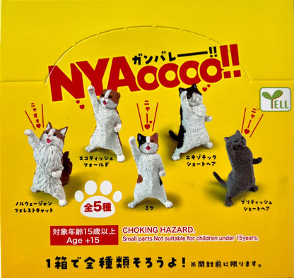 NYAOOO! POWER CATS BLIND BOX (1 Blind Box)