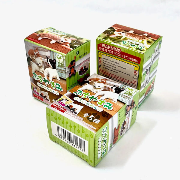 PLAYFUL HANGING DOGS BLIND BOX (1 Blind Box)