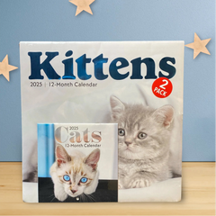 Kittens 2025 12 Month Calendar 2 Pack