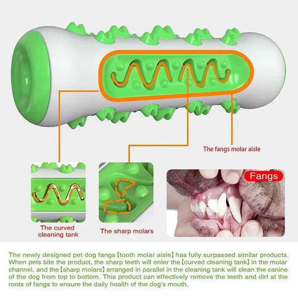 Chew-Resistant Rubber Dog Toy for Dental Health
