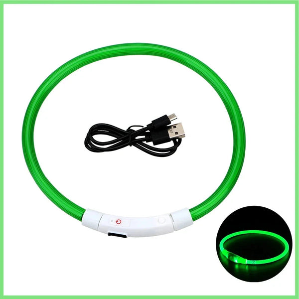 LED Pet Dog Collar for Night Safety | Bright USB Rechargeable
