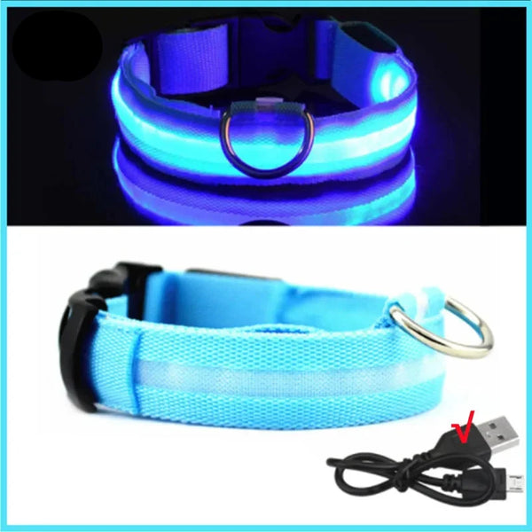 LED Pet Dog Collar for Night Safety | Bright USB Rechargeable