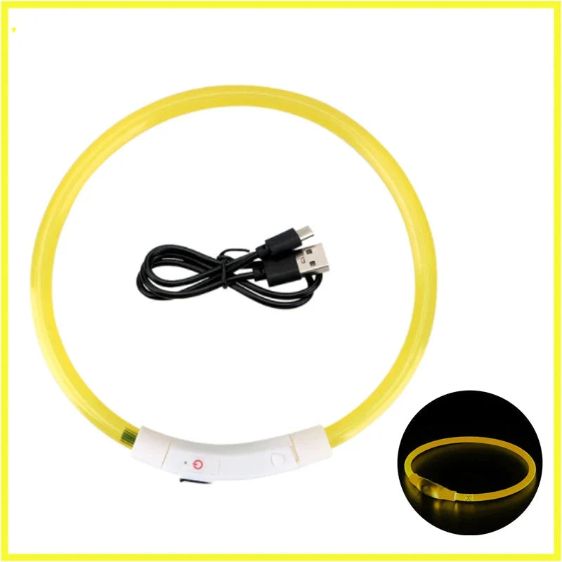 LED Pet Dog Collar for Night Safety | Bright USB Rechargeable