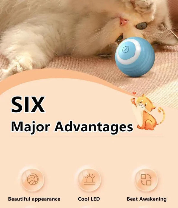Smart Cat Toy Ball: Auto-Rolling for Active Play