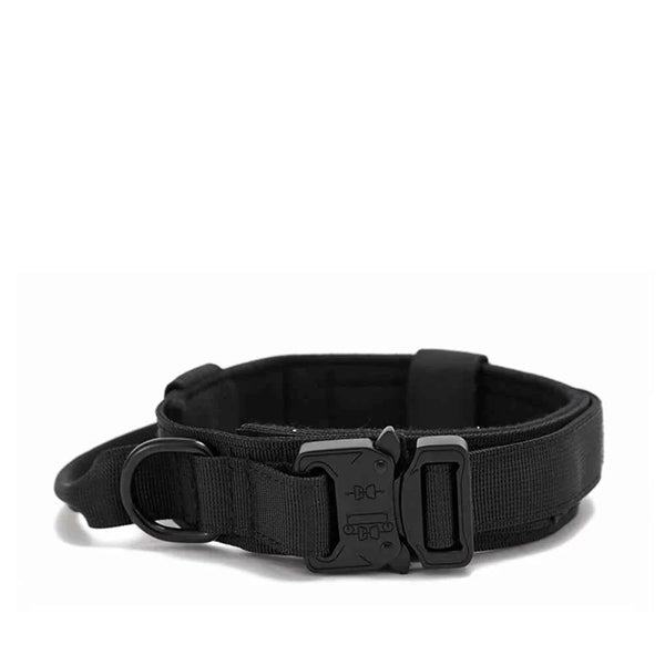 Durable Nylon Dog Collar with Reflective Leash Set