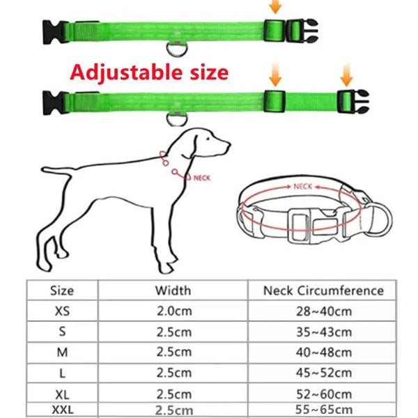 LED Pet Dog Collar for Night Safety | Bright USB Rechargeable