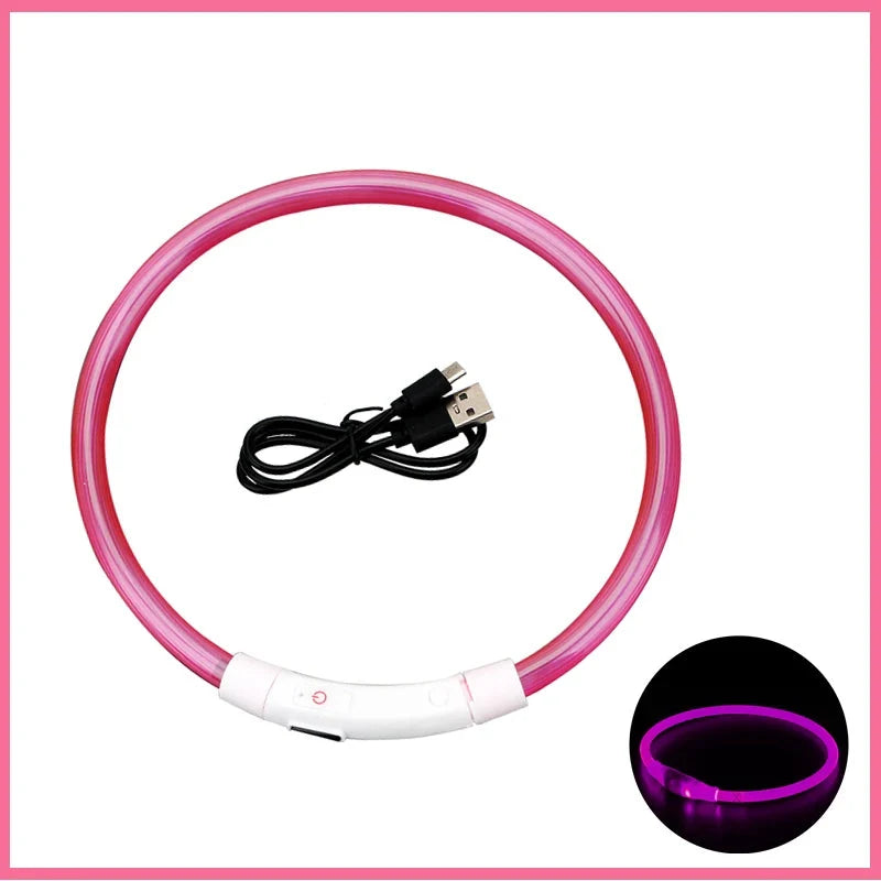 LED Pet Dog Collar for Night Safety | Bright USB Rechargeable