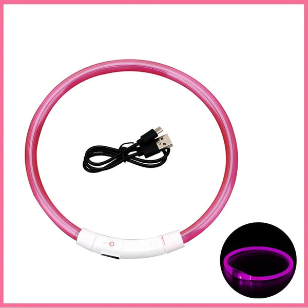 LED Pet Dog Collar for Night Safety | Bright USB Rechargeable