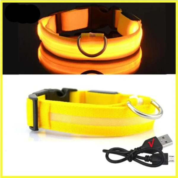 LED Pet Dog Collar for Night Safety | Bright USB Rechargeable