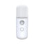 White Hydration Meter Nano Spray Hydration Meter Face Hydration Disinfectant Machine Humidifier Small Steam Face Home Use