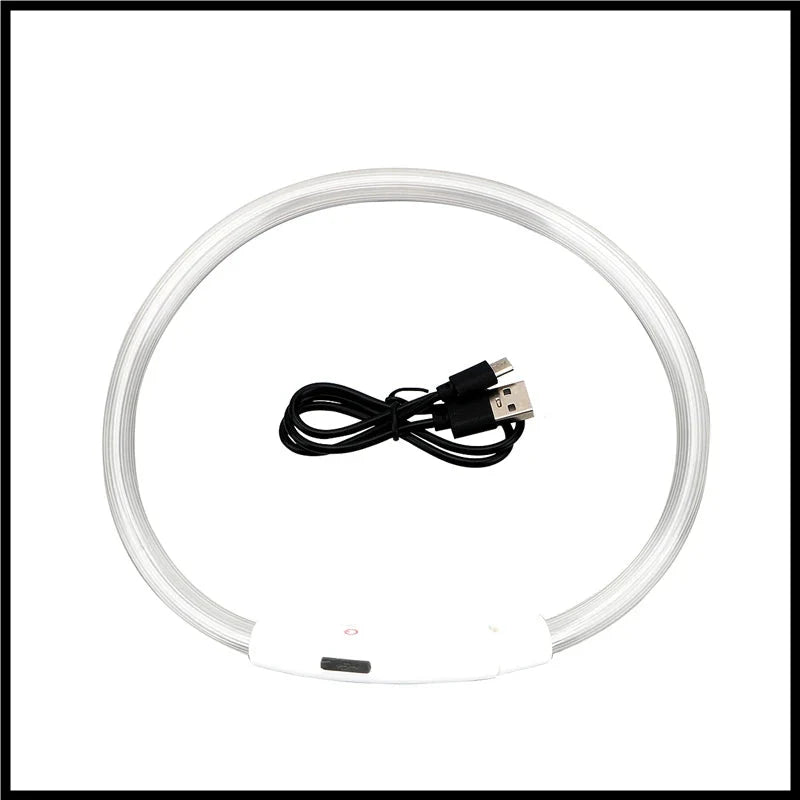 LED Pet Dog Collar for Night Safety | Bright USB Rechargeable