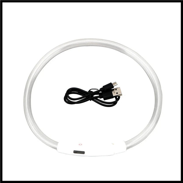 LED Pet Dog Collar for Night Safety | Bright USB Rechargeable